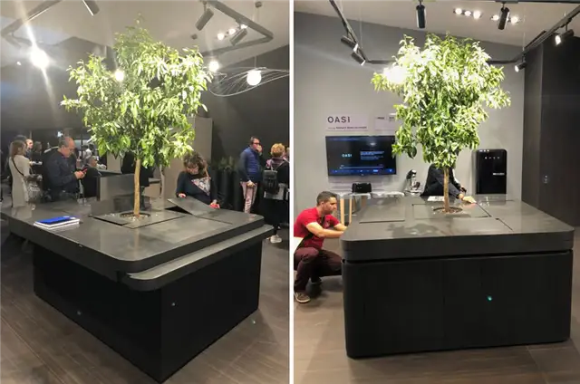 Aran cucine OASI - кухня под ветвями