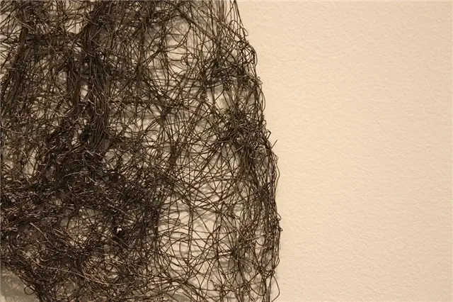 Софи Райдер создает мистический Wiry
