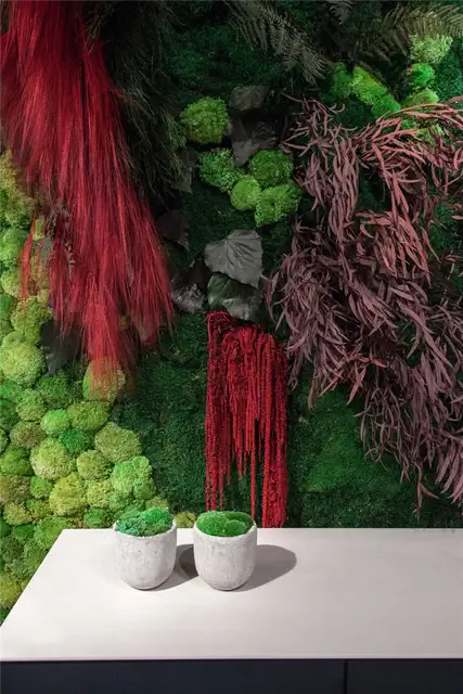 Вертикальный сад Дизайн и Maison and Objet январь Париж 2017
