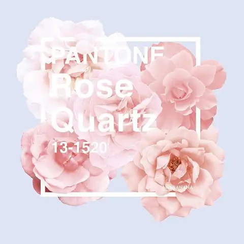 Покрытие из розового кварца Pantone