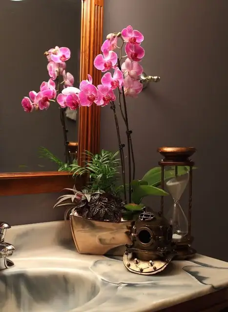vintage-inspired-bathroom-orchids