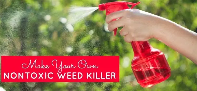 Make-Your-Own-Nontoxic-Weed-Killer