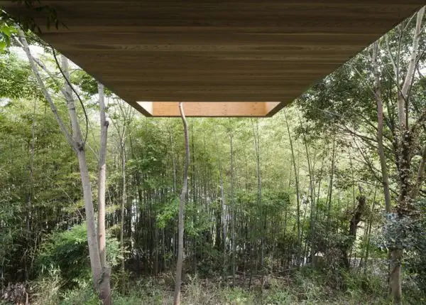 node-by-uid-architects