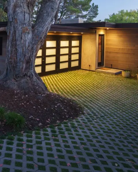 Ландшафт в стиле midcentury в Сан-Франциско
